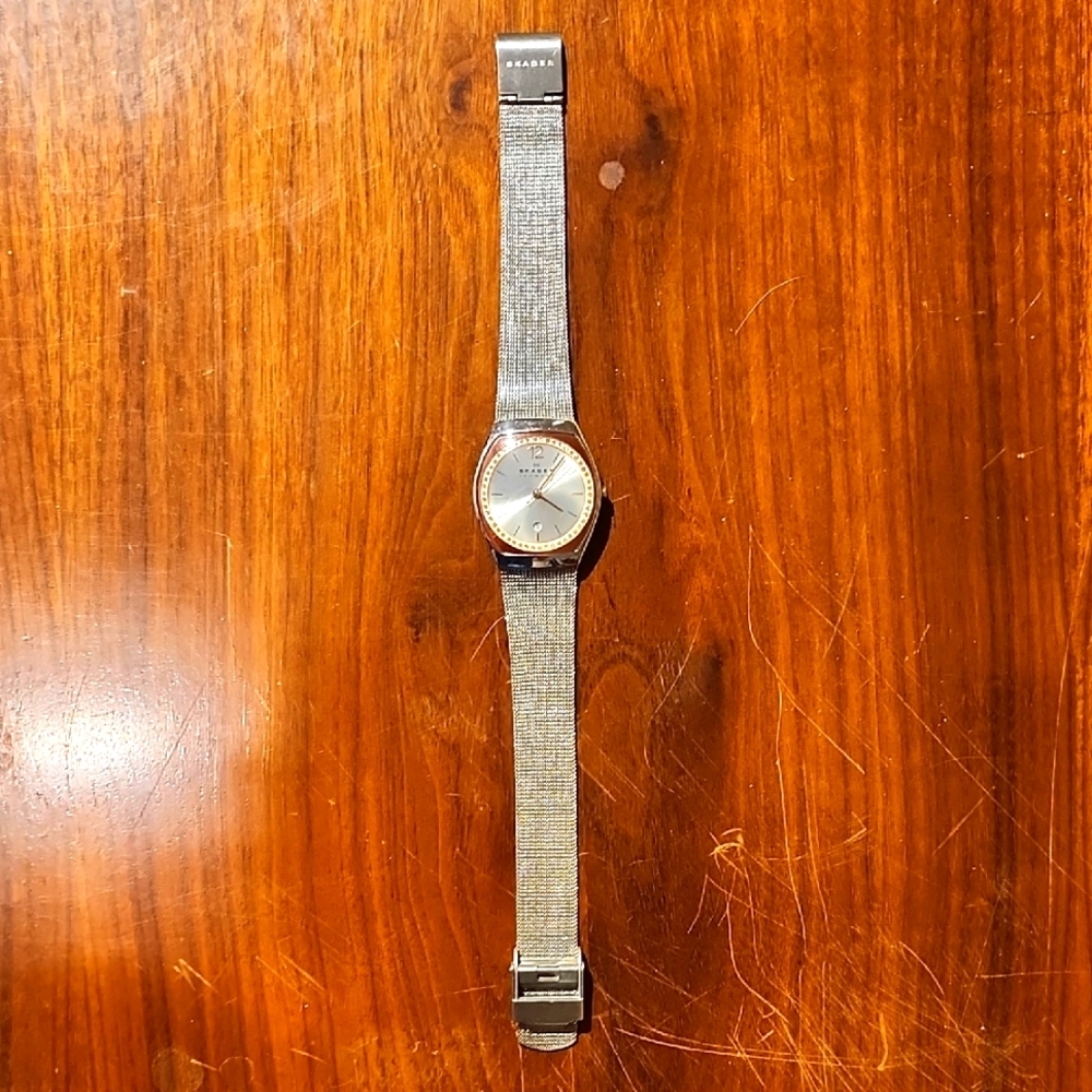 Skagen Asta Stainless Steel Mesh Watch w/Rose Face Date